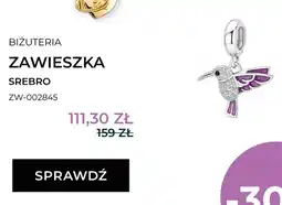Briju Zawieszka srebro Briju oferta