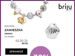 Briju Zawieszka srebro ZW-002686 oferta