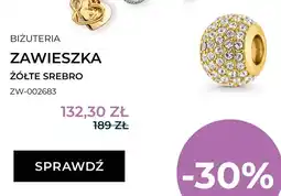 Briju Zawieszka żółte srebro Briju ZW-002683 oferta
