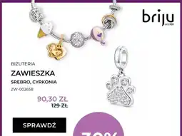 Briju Zawieszka srebro cyrkonia ZW-002658 oferta