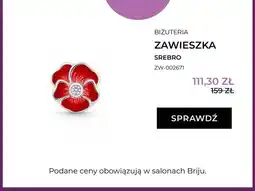 Briju Zawieszka srebro ZW-002671 oferta