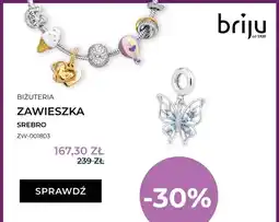 Briju Zawieszka srebro ZW-001803 Briju oferta