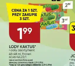 Chata Polska Lody kaktus oferta
