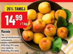 Polomarket Morele oferta