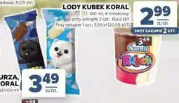 Stokrotka LODY KUBEK KORAL oferta