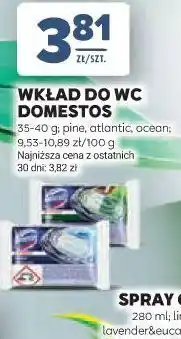 Stokrotka WKŁAD DO WC Domestos oferta