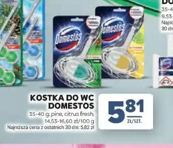 Stokrotka KOSTKA DO WC DOMESTOS oferta