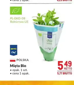 Makro Mięta Bio METRO Chef polska oferta
