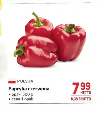 Makro Papryka czerwona polska oferta