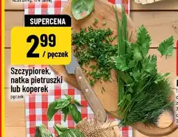 Polomarket Szczypiorek oferta