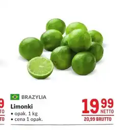 Makro Limonki Brazylia oferta