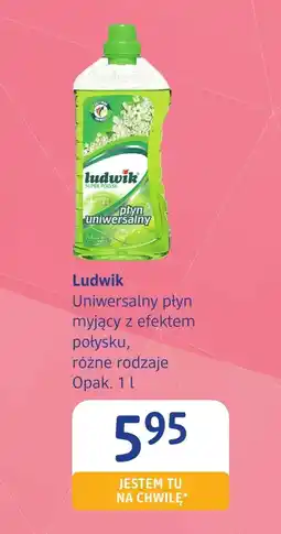 dm drogerie markt Płyn uniwersalny Ludwik oferta