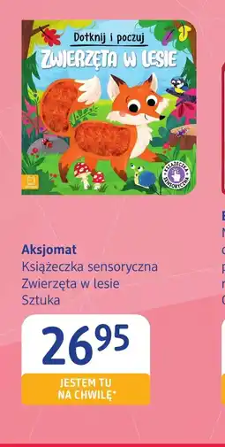 dm drogerie markt Książeczka oferta