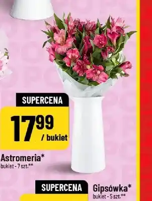 Polomarket Astromeria bukiet oferta