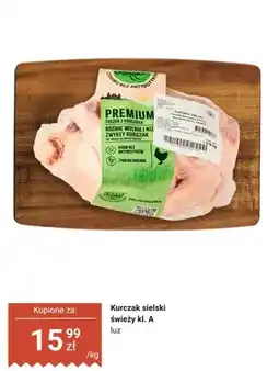 Dino Kurczak sielski świeży klasy A oferta