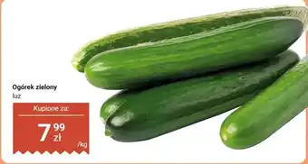 Dino Ogórek zielony oferta