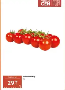 Dino Pomidory cherry oferta