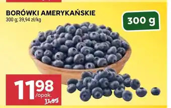 Stokrotka Market Borówki amerykańskie oferta