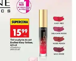 Biedronka Pomadka do ust Eveline Cosmetics oferta