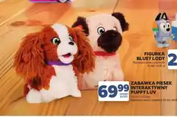 Stokrotka Interaktywny piesek Bluey oferta