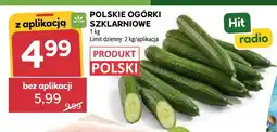 Stokrotka Ogórki Hit oferta