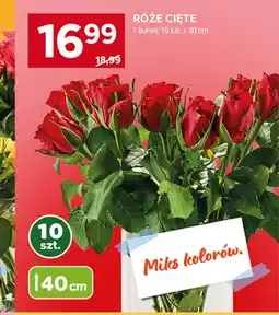 Stokrotka Bukiet róż oferta