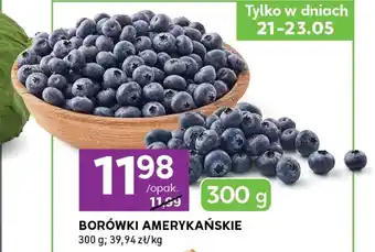 Stokrotka Express Borówki amerykańskie oferta