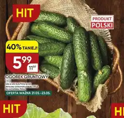 Chata Polska Ogórek gruntowy oferta