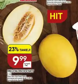 Chata Polska Melon miodowy oferta