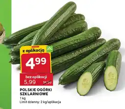 Stokrotka Express Polskie ogórki szklarniowe oferta