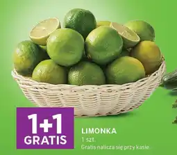 Stokrotka Express Limonka oferta