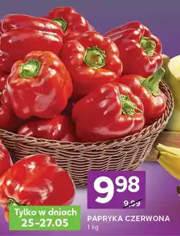 Stokrotka Express Papryka czerwona oferta