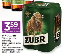 Stokrotka Express Piwo żubr oferta