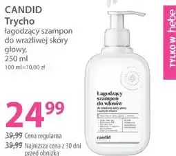 Hebe CANDID Trycho łagodzący szampon do wrażliwej skóry głowy oferta
