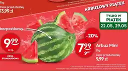 Żabka Arbuz Mini oferta