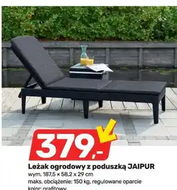 Bricomarche Leżak ogrodowy z poduszką JAIPUR oferta