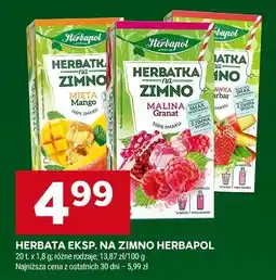 Stokrotka Herbatka ekspresowa na zimno Herbapol malina granat oferta