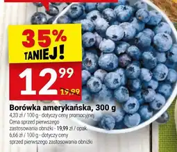 Twój Market Borówka amerykańska oferta