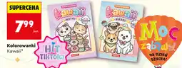 Biedronka Kolorowanki Kawaii oferta