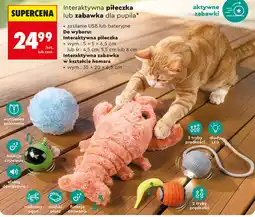Biedronka Interaktywna piłeczka lub zabawka dla pupila oferta