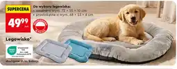 Biedronka Legowisko ACTIV PET oferta