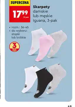 Biedronka Skarpety damskie lub męskie Iguana, 3-pak oferta