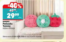 Biedronka Poduszka Yummy DOMAREX różne rodzaje oferta