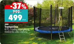 Biedronka Trampolina JUMI oferta