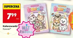 Biedronka Kolorowanka Kawaii Kotki oferta