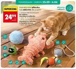 Biedronka Interaktywna piłeczka dla pupila oferta