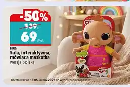 Biedronka Sula interaktywna mówiąca maskotka BING wersja polska oferta