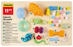 Biedronka Gryzak dla pupila 2-pak oferta