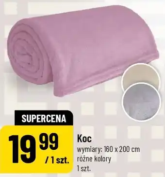 Polomarket Koc oferta