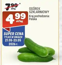 Społem Ogórek oferta